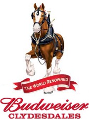 Clydesdale Logo